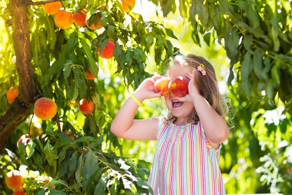 Little Girl and Peach Tree