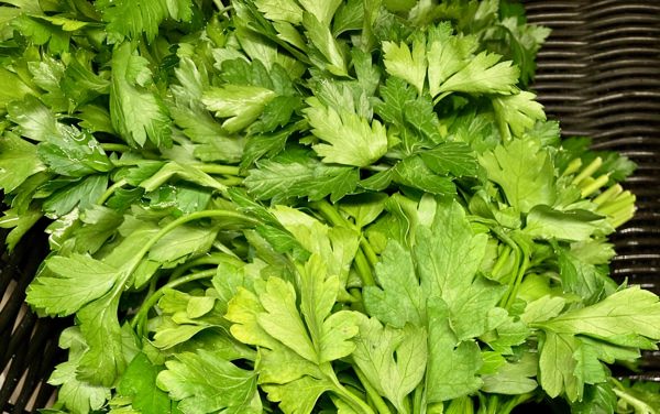organic parsley