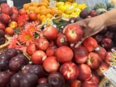 organic produce vs non-organic